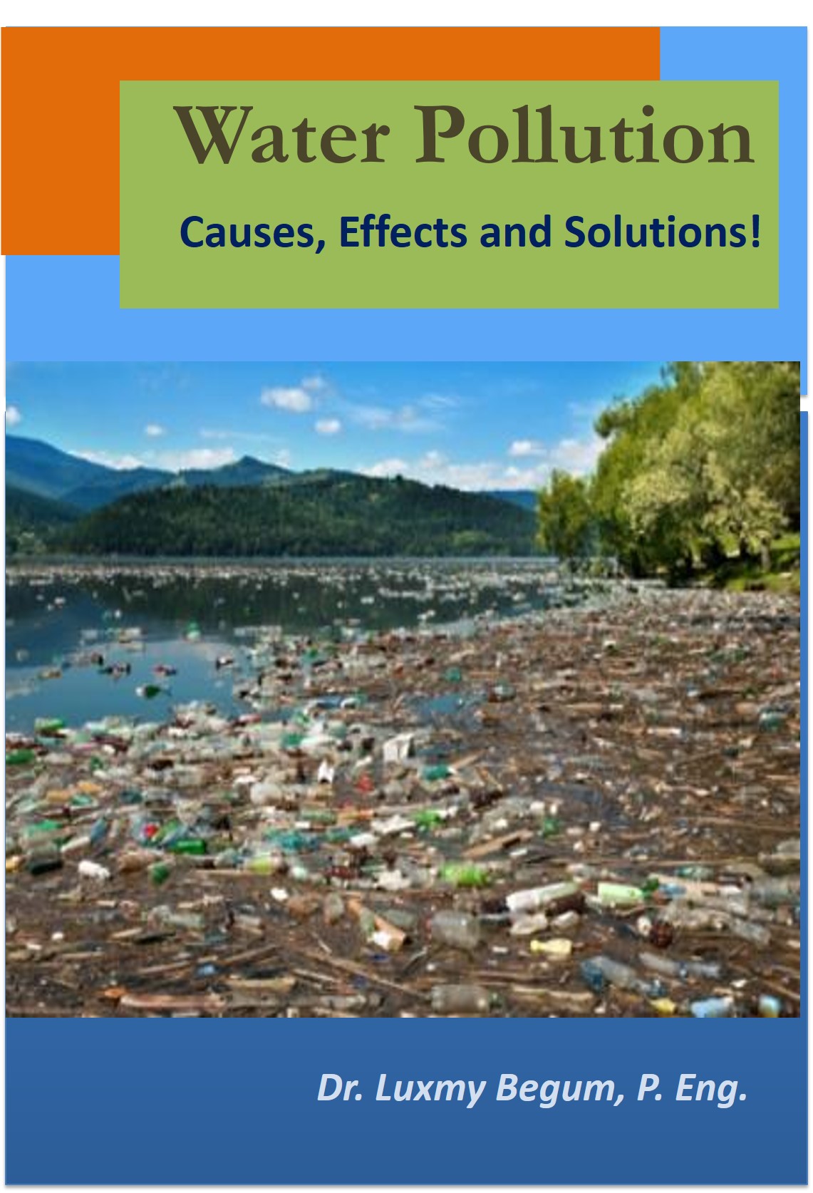 assignment of water pollution