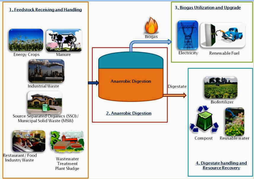 Anaerobic Digestion Basics